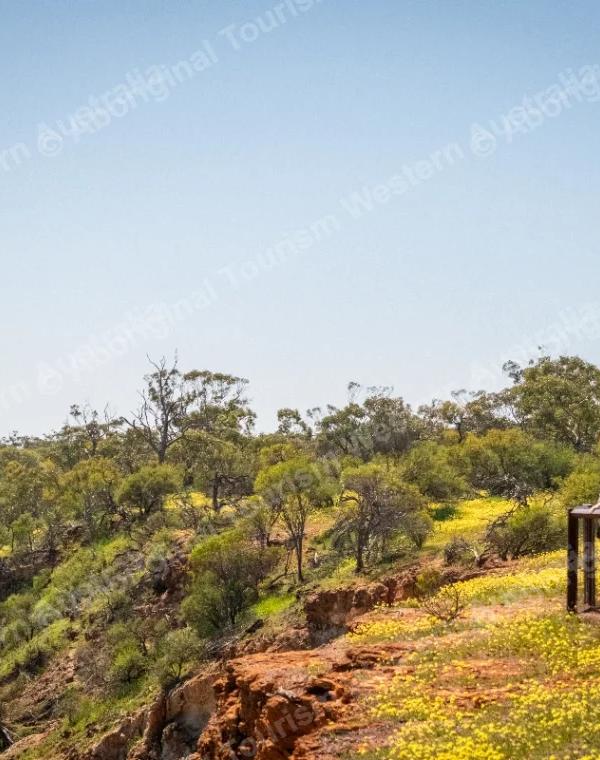Jambinu Tours — photo 2